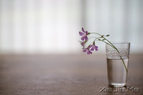 早安心语：安静，也是强大的力量 (6)