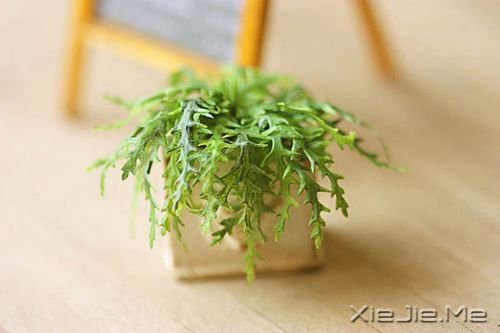 晚安心语：趁我们还有呼吸，去做你想做的事吧 (2)