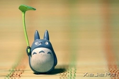 晚安心语：趁我们还有呼吸，去做你想做的事吧 (11)