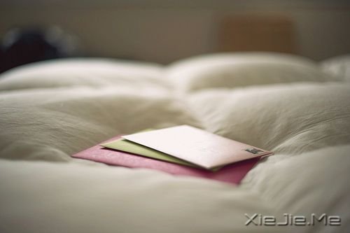 早安心语：生命太短，去爱那些对你好的人 (9)