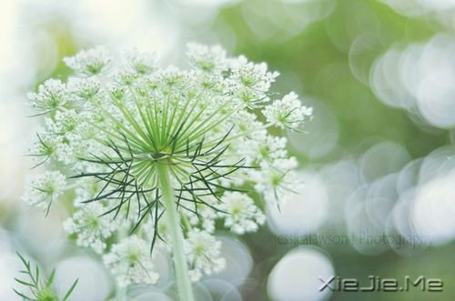 经历一些事，读懂一些人 (6)